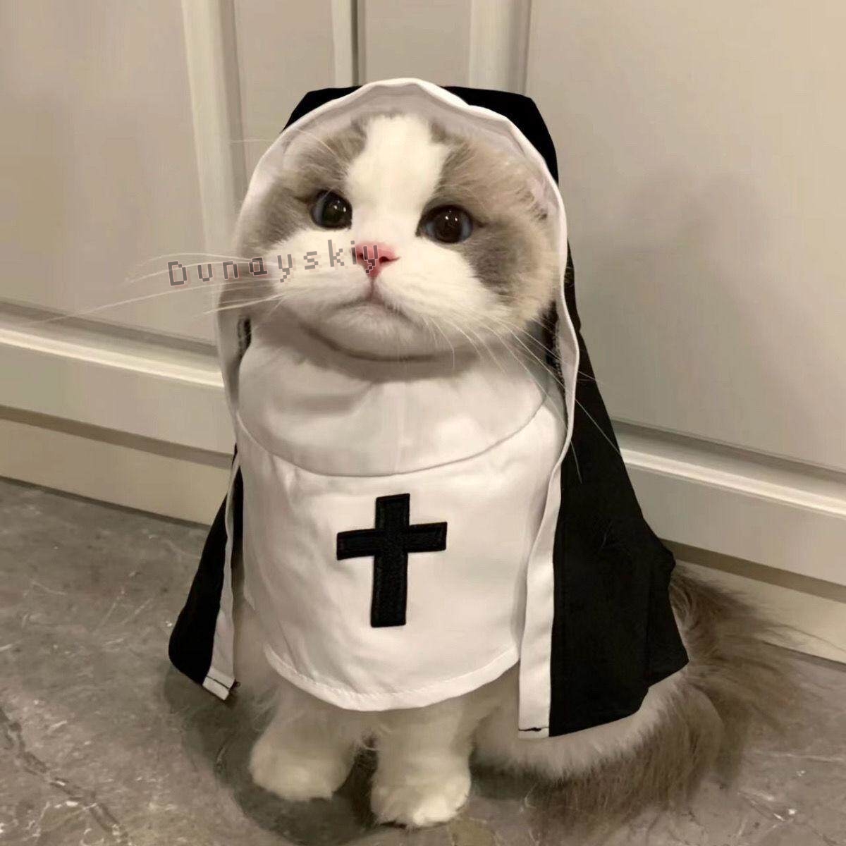 Anime Cosplay Nun - ชุดคอสเพลย์สัตว์เลี้ยงสำหรับสุนัขและแมวในช่วงคริสต์มาส อุปกรณ์เสริมสำหรับสัตว์เลี้ยงที่ระบายอากาศได้ดี ชุดแต่งกายสำหรับลูกสุนัขและลูกแมว ชุดแม่ชี ชุดแฟนซีฮาโลวีน ชุดจั๊มสูท