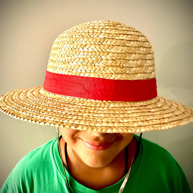หมวกฟางสไตล์ลูฟี่วันพีซ ขนาด 3 - One Piece Straw Hat บทวิจารณ์และราคา
